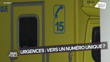 Plan France 2030 /Faut-il légaliser le cannabis ? - Sens public (11/10/2021)