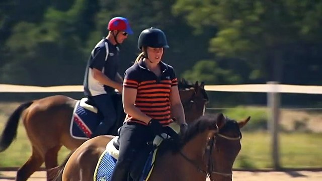 Deadly Hendra virus detected in horse near Newcastle