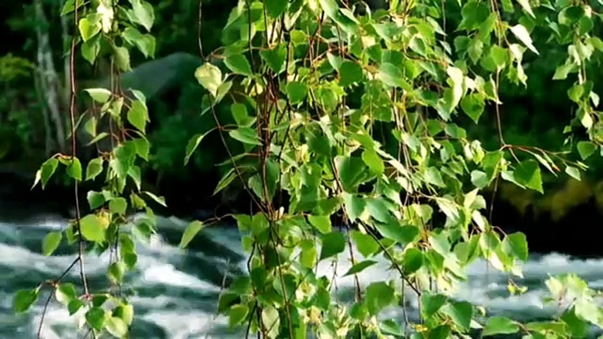 ⁣Relax Music Stress Relief Music Calm Music Beautiful Relaxing Music Study Music