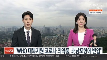 "WHO 대북지원 코로나 의약품, 北남포항에 반입"