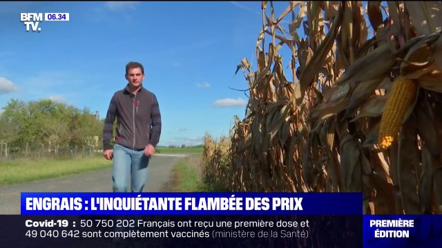 Les agriculteurs sont aussi touchés par la flambée des prix