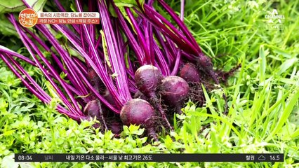 혈관 청소부 비트로 만드는 당뇨 예방 '적당 주스'