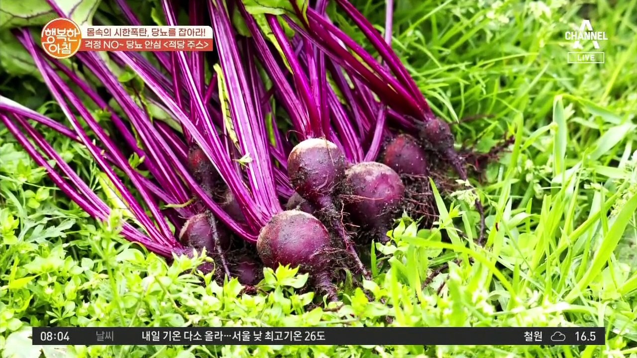 혈관 청소부 비트로 만드는 당뇨 예방 '적당 주스'