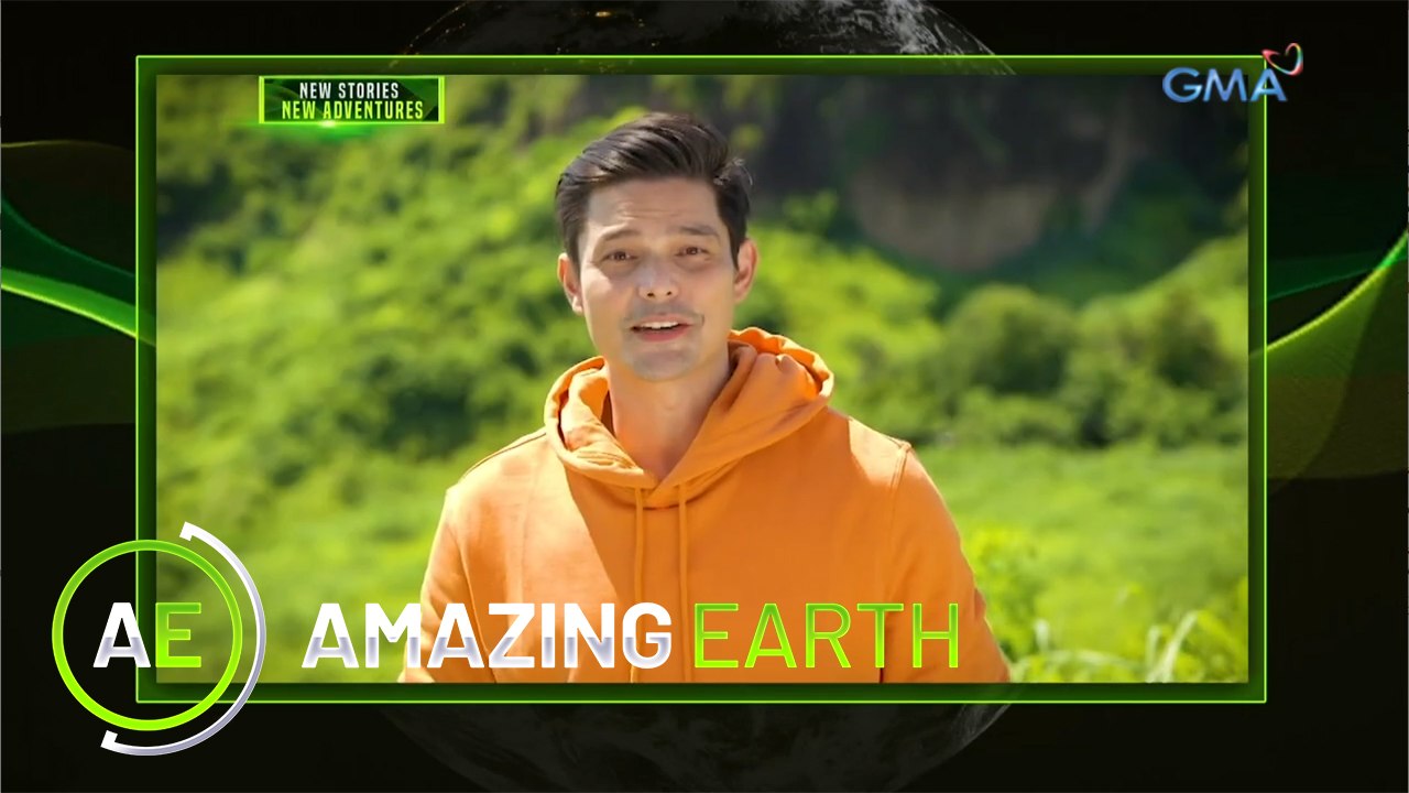 Amazing Earth: Retired service animals | Teaser Ep. 174