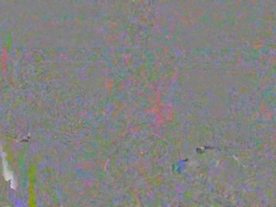 SANY0077