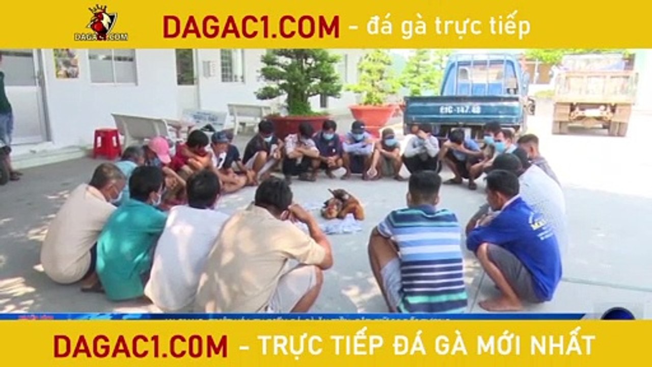 An Giang: Triệt xóa tụ điểm đá gà ăn tiền, bắt giữ 26 đối tượng - DAGAC1.COM - Đá gà trực tiếp