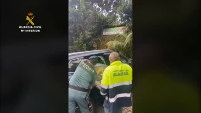 La Guardia Civil rescata 150 pájaros tropicales en La Palma