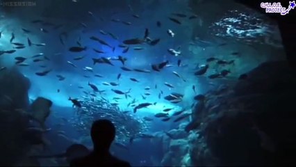 Boys Love 2  | (3 /3) Japan BL Movie English Sub