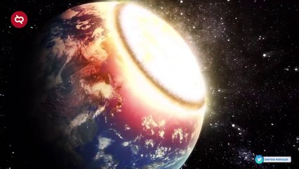 TERUNGKAP! Misteri Mengapa Hutan Amazon Menciptakan Monster Predator Paling Mengerikan di Dunia (1)