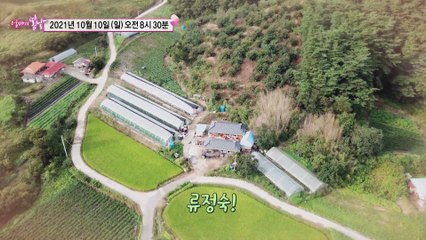 내 반쪽 꼬부랑 정숙이_엄마의 봄날 317회 예고 TV CHOSUN 211010 방송