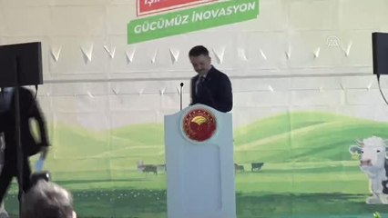 Pakdemirli: "Bugün Türkiye, küçükbaş hayvan sayısında Avrupa'da 1, büyükbaş hayvan sayısında da dünyada 2. sırada"