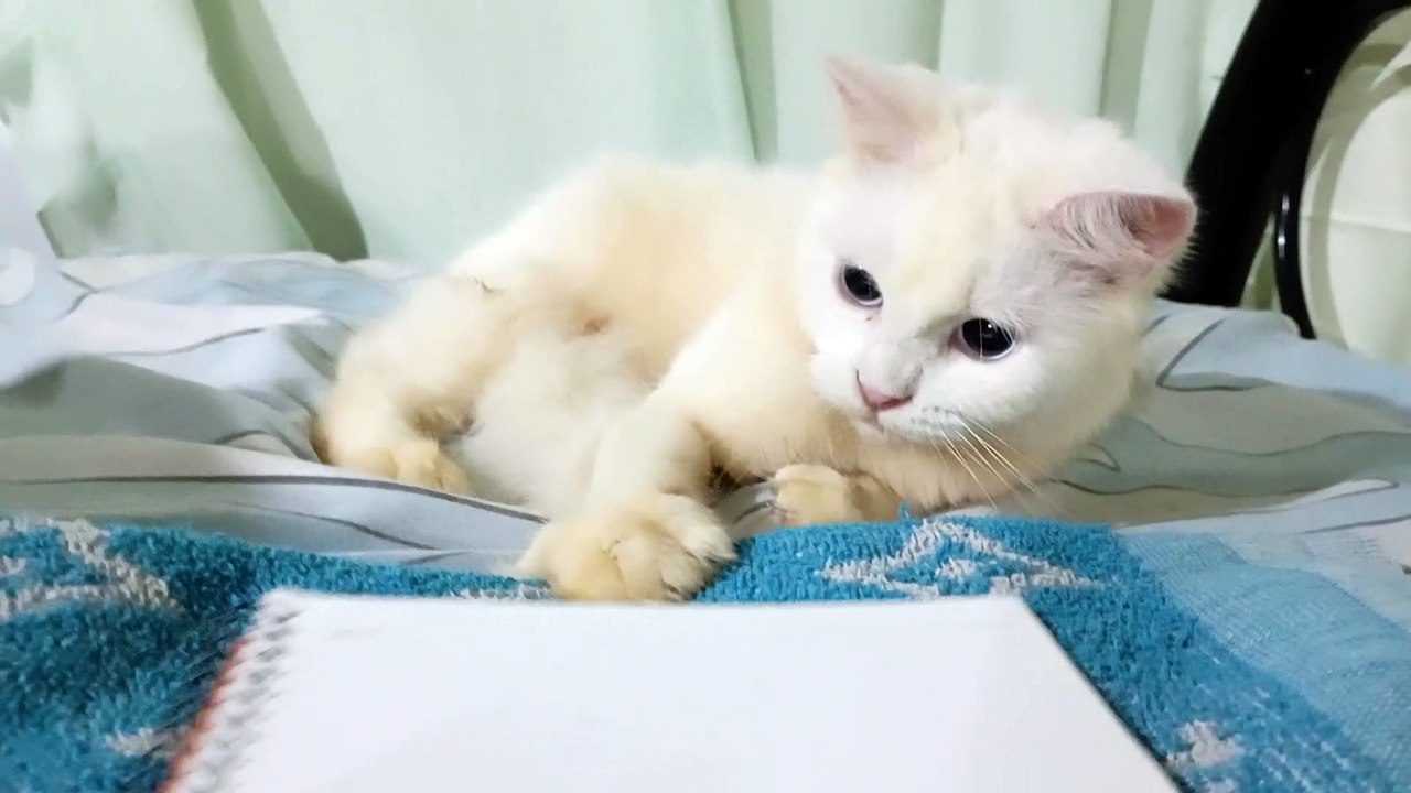 playing with EUNA