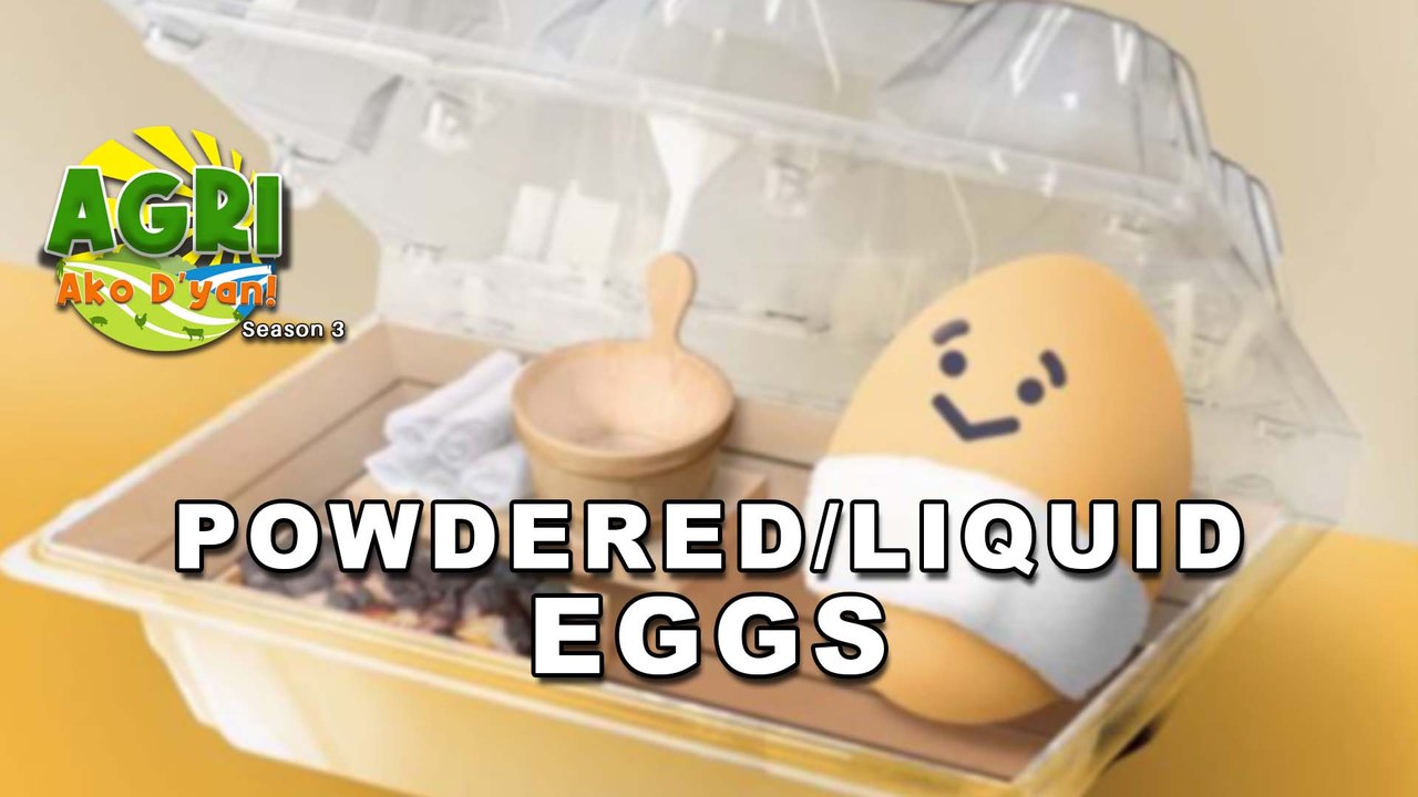 Powdered/Liquid Eggs