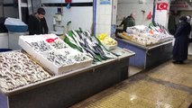 ZONGULDAK - Batı Karadeniz'de balığın azalması fiyatlara yansıdı