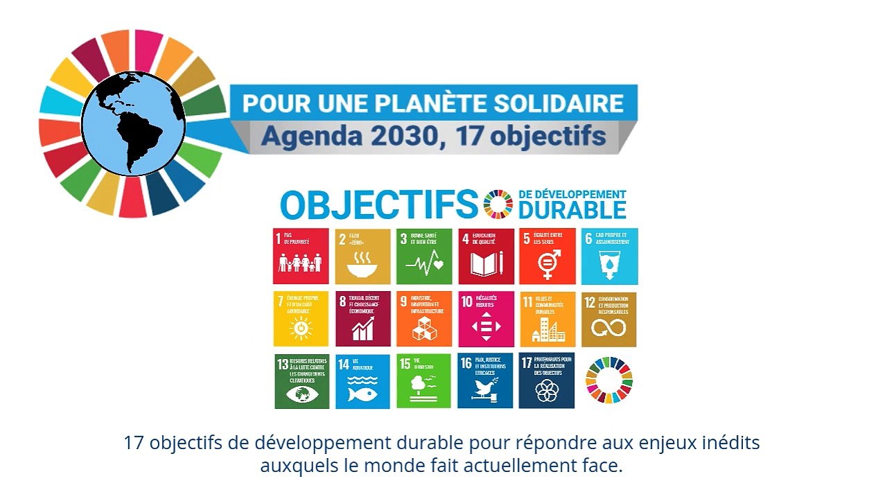 Les objectifs et indicateurs de développement durable à La Réunion - synthèse