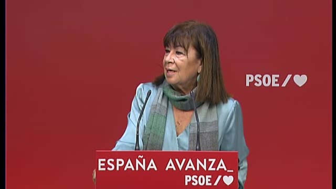 Narbona duda de si Vox hubiese presentado una querella contra Tezanos si los sondeos "hubiesen sido más proclives a su formación"