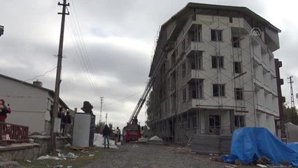 Bozayılar yiyecek bulmak için yerleşim yerlerine iniyor