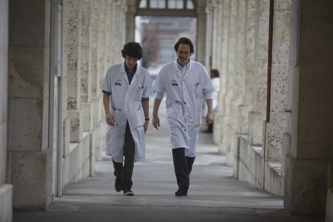 Hippocrate : le coup de coeur de Tele7