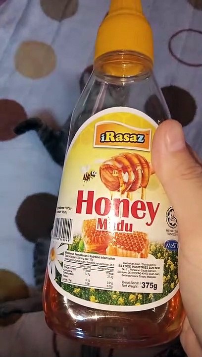Kucing Lucu