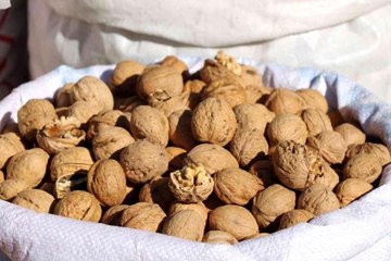 Ceviz dalında 20, tezgahta 30-50 lira