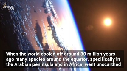There Was Another Mass Extinction Event 30 Million Years Ago and Scientists Just Now Realized It