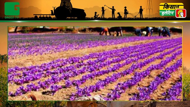 Bihar में बनेगाJaivik Kheti कॉरिडोर, किसानों को आमदनी बढ़ाने में मिलेगी मदद | Kisan Bulletin | Green TV