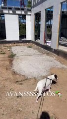 Sofía Suescun enseña los avances de su impresionante casoplón en la sierra de Madrid