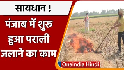 Punjab: Amritsar के छब्बा गांव में शुरु हुआ पराली जलाने का काम, दखें Video | वनइंडिया हिंदी
