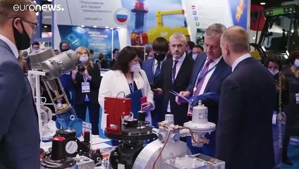 Ist die Energiekrise EU-gemacht? "Flexibles Gas wird mit Dollars bezahlt"