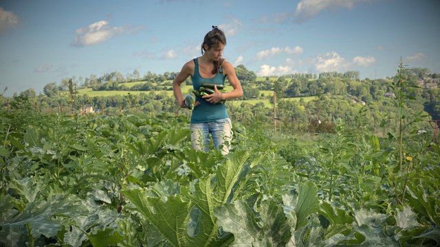 Le retour à la terre: parcours et paroles de maraîchers wallons
