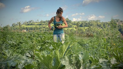Le retour à la terre: parcours et paroles de maraîchers wallons