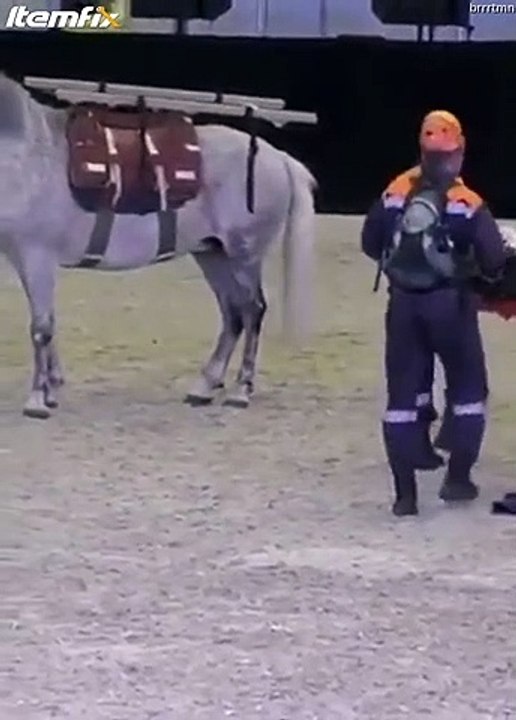 Le chargement de blessé sur cheval n'est pas encore très fiable
