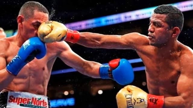 Gallo Estrada y Chocolatito Gonzalez 3 - apunta a Diciembre 2021
