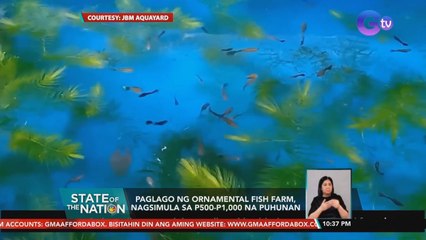 Paglago ng ornamental fish farm, nagsimula sa P500-P1,000 na puhunan | SONA