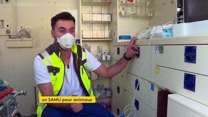 À Münchenstein en Suisse, un Samu vient en aide aux animaux de compagnie