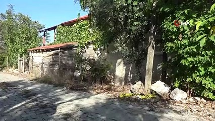 Eski eşini öldürüp tandırda yakan kadın komik savunma: 'Tüfeği şakağına dayadı, tetiği zorla bana çektirdi'