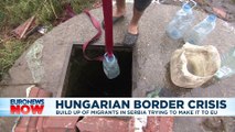 Afghans among hundreds of migrants stranded on Serbia-Hungary border seeking to enter EU