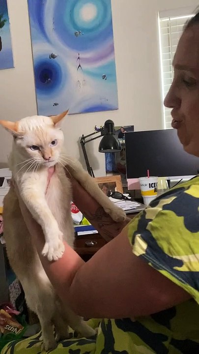 'Barking' Cat Hates Being Picked Up