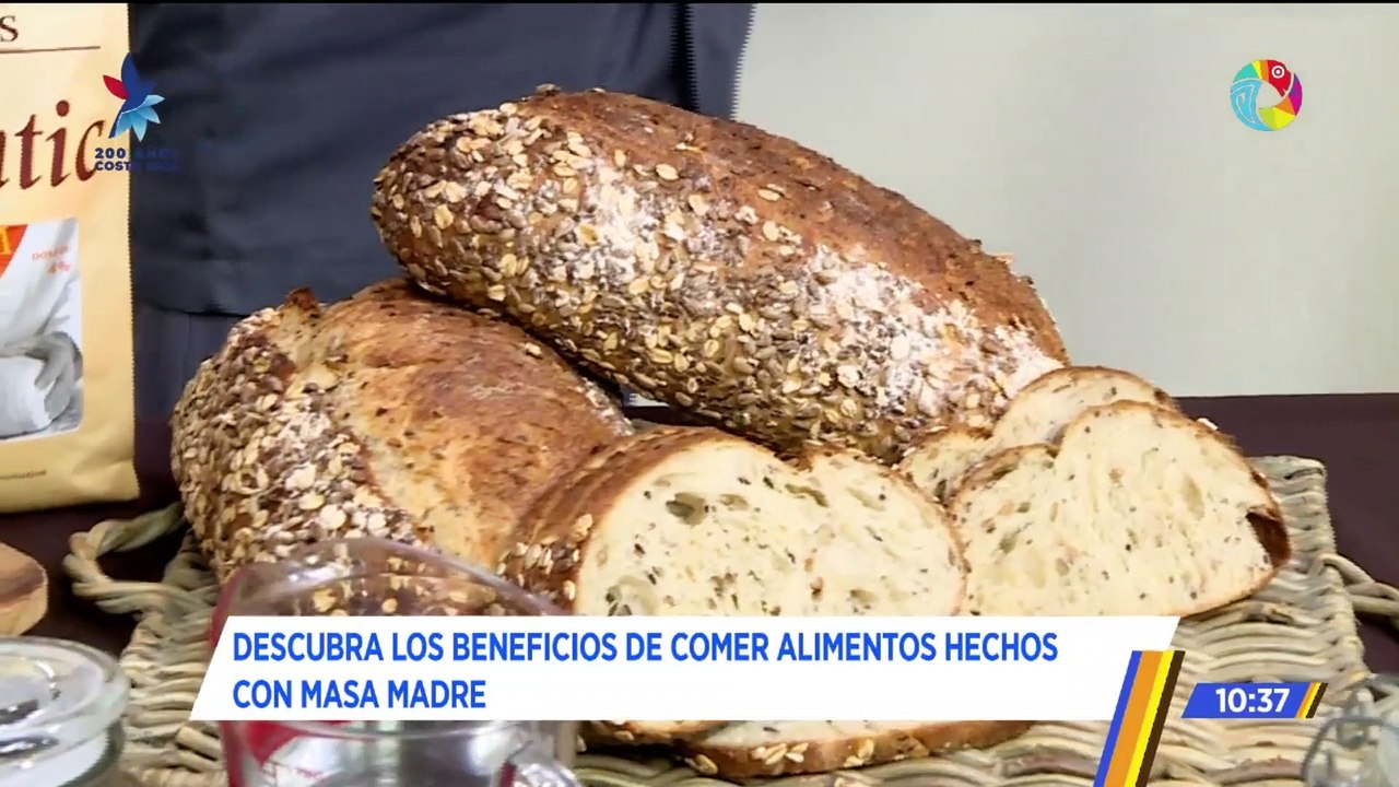 MASA MADRE