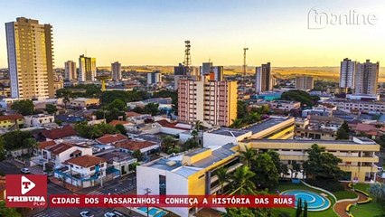 RUAS NOMES DE PÁSSAROS