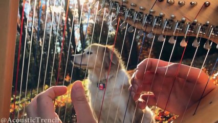 Hallelujah on a Harp  Leonard Cohen Tribute - AcousticTrench