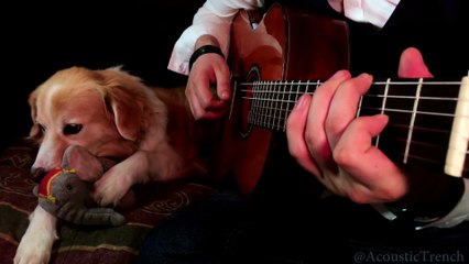 Wake Me Up When September Ends by Green Day Solo Guitar Cover - AcousticTrench