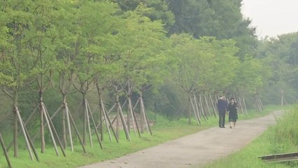 [날씨] 한글날, 전국 흐리고 곳곳 비...남부 30℃ 안팎 늦더위 / YTN