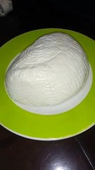 Queso canasto parecido a el queso panela fresco directo de el rancho a la mesa