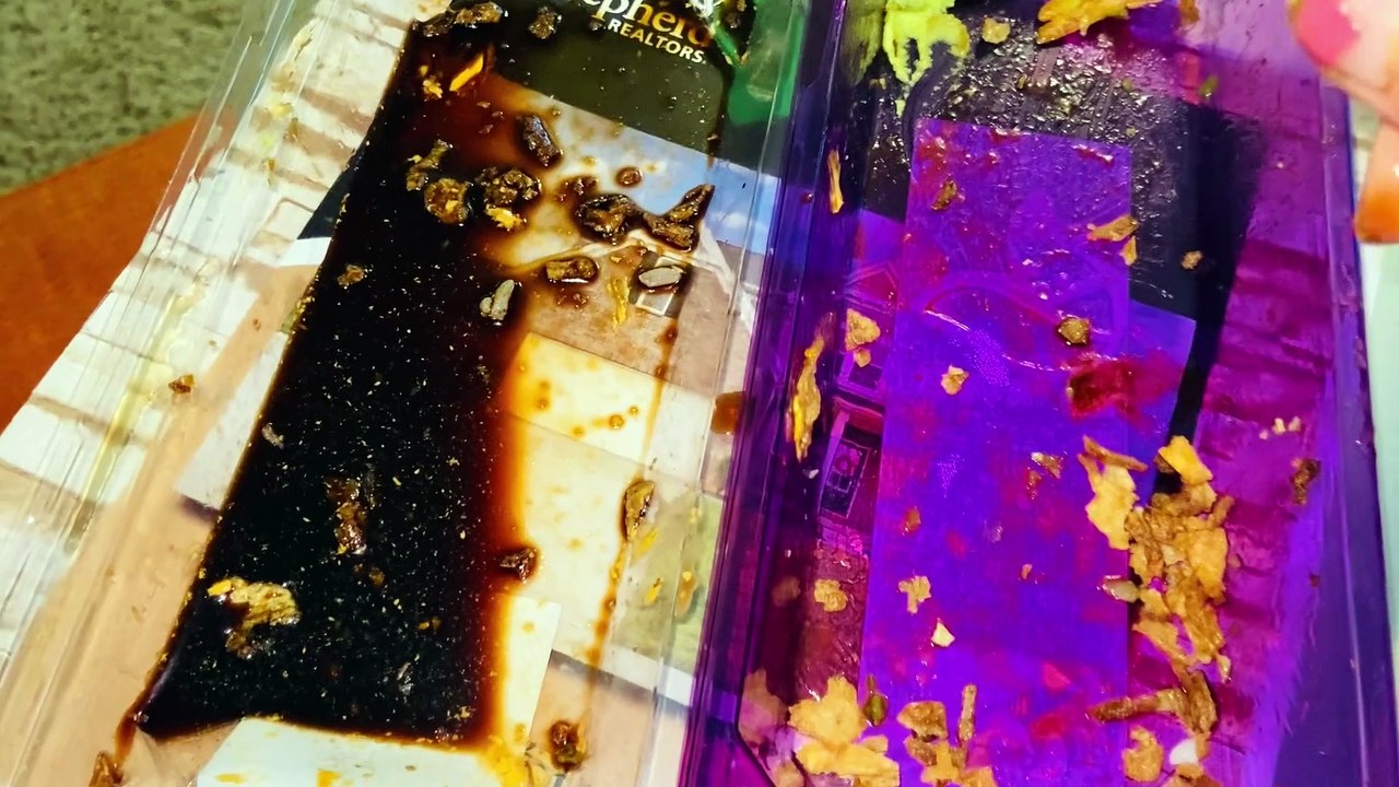 NEVER Ending YARD Work ! ‍ Update on DRYER 