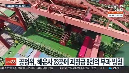 담합 제재 앞둔 해운업계…'8천억 과징금' 뜨거운 감자