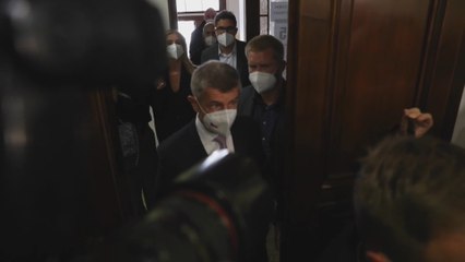 Los checos deciden si revalidan al magnate Babis en el poder