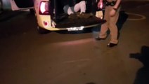 Motorista é detido pela PM após colidir em carros estacionados em Cascavel