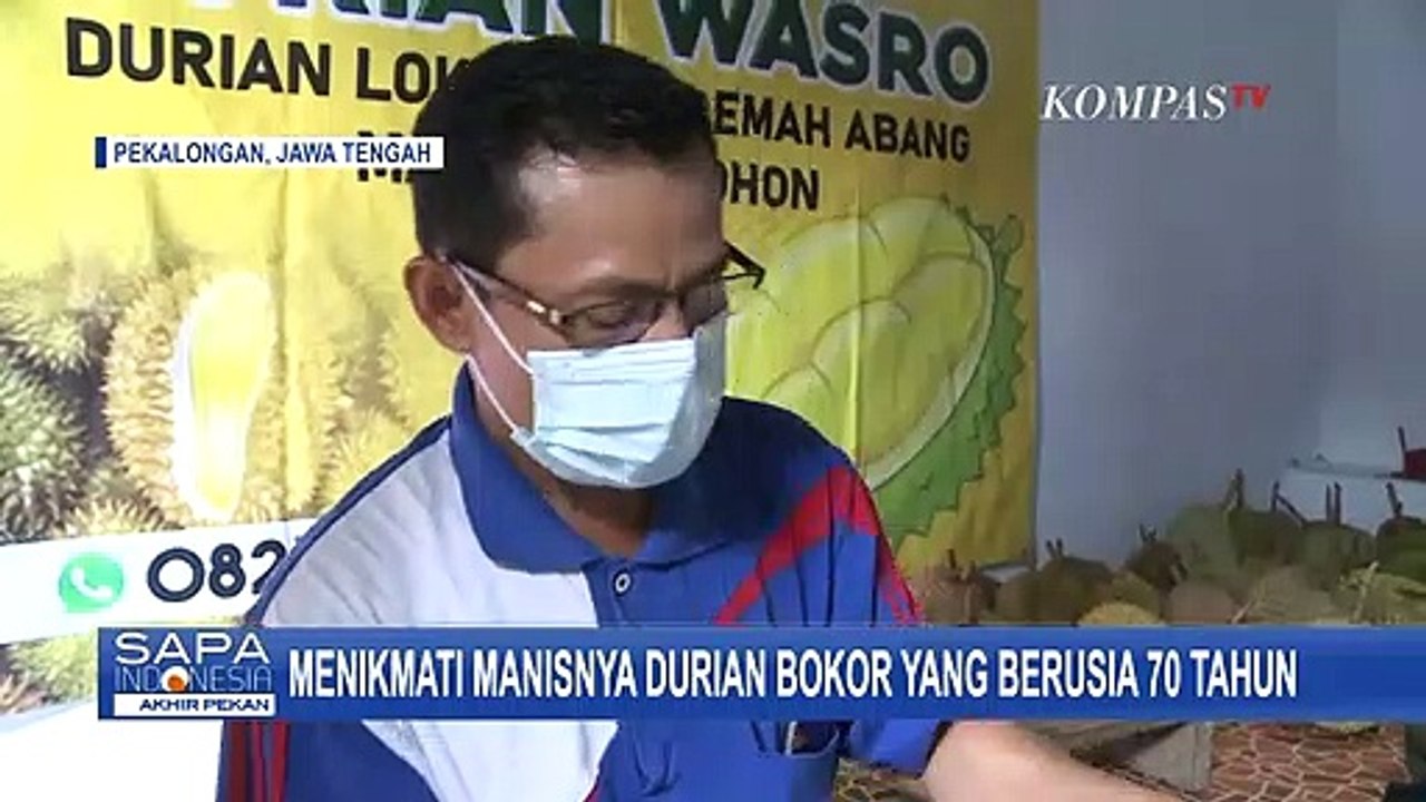Ditanam Sejak 70 Tahun Lalu, Nikmatnya Durian Bokor Primadona dari Pekalongan