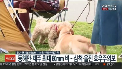 [날씨] 한글날 동해안·제주 비…남부 30도 늦더위